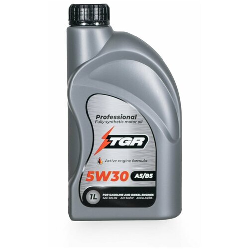 Масло моторное "TGR" синтетическое PROFESSIONAL ACEA A5/B5 API SN/CF 5W-30 1л