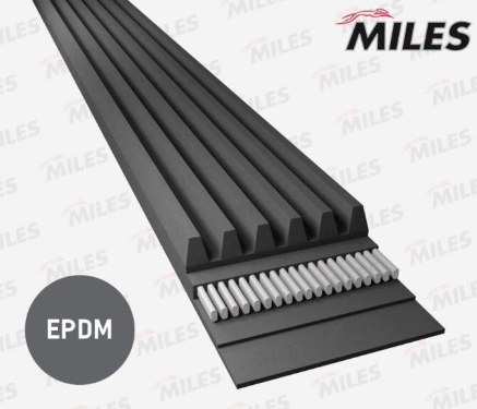 Ремень приводной "MILES" поликлиновый 6PK1548