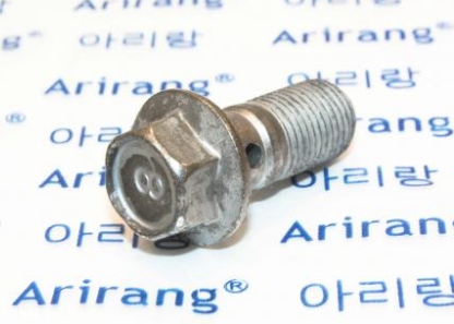 Болт крепления шланга "ARIRANG" М10х31х1 HYUNDAI Solaris/KIA Rio ARG17-1703