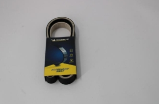 Ремень приводной "MICHELIN" FORD/OPEL/MAZDA 6PK1560