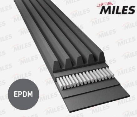 Ремень приводной "MILES" поликлиновый 5PK1010